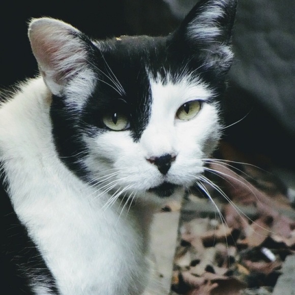 Meet your Posher, S - Picture 2 of 2